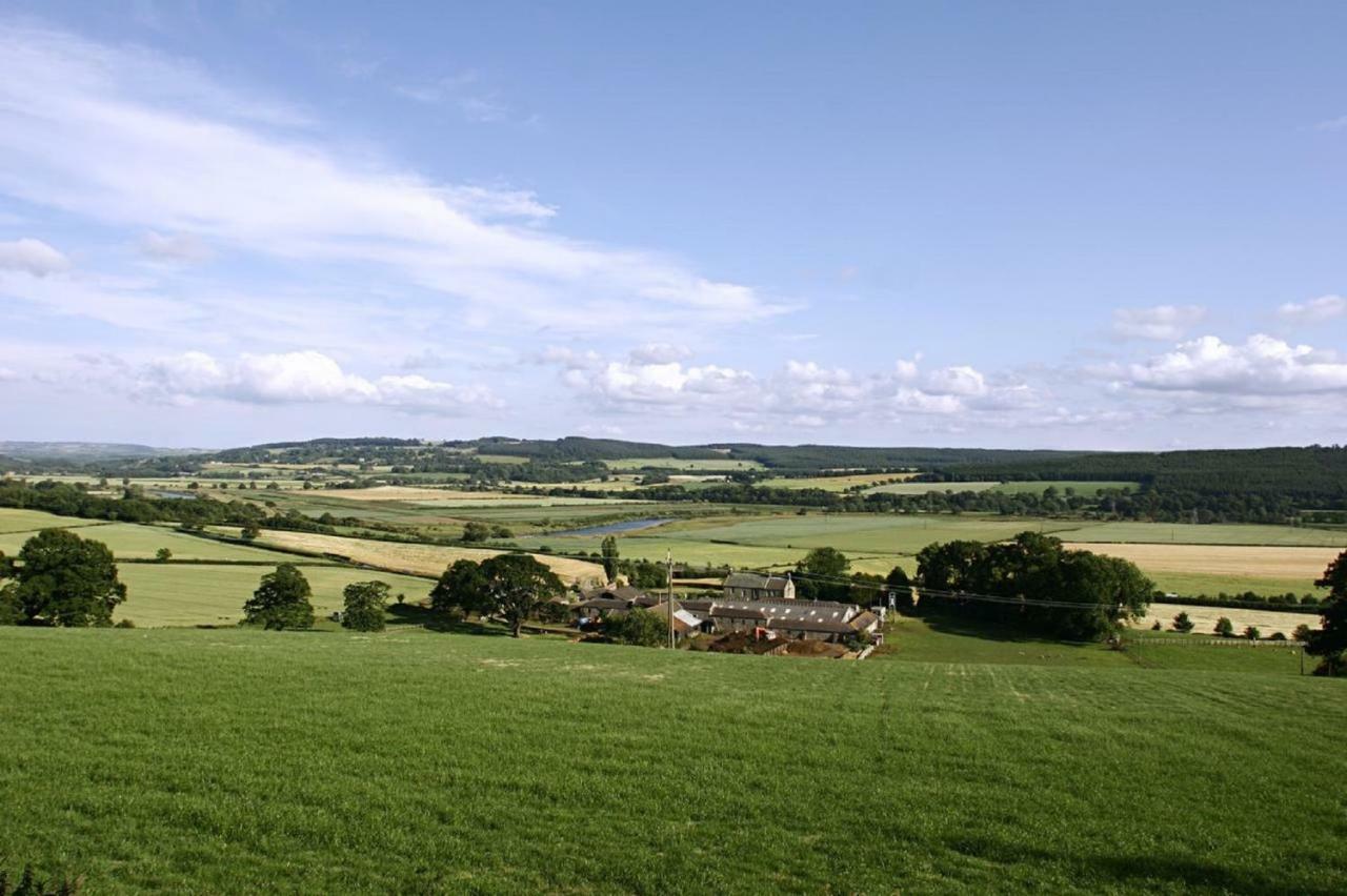 Anick Grange Farm B&B Hexham Buitenkant foto
